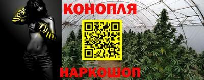 каннабис Новозыбков