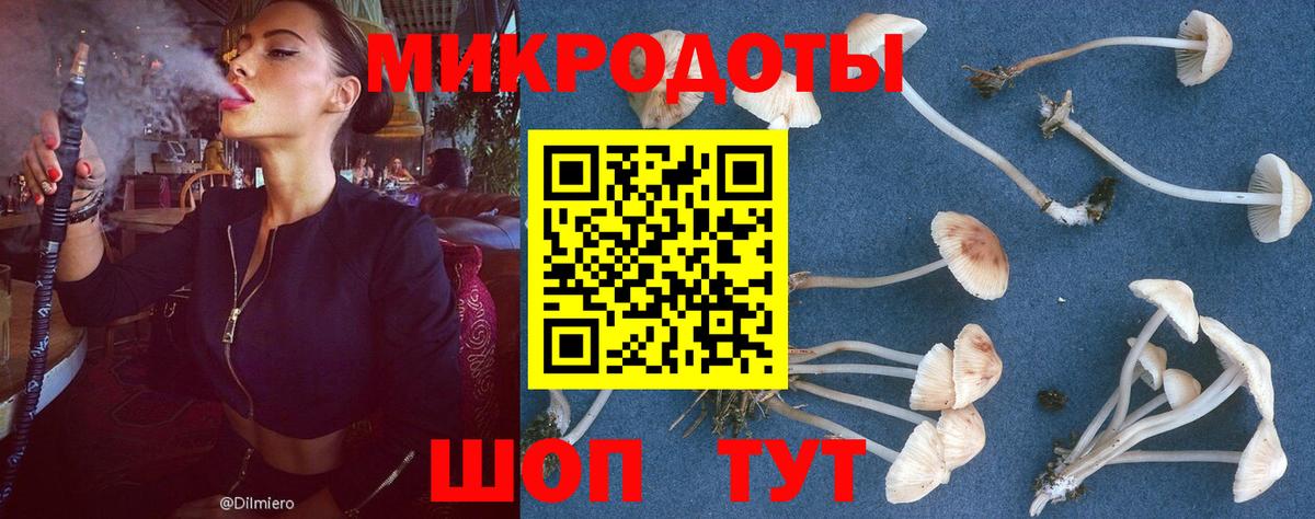 купить  цена  Галлюциногенные грибы Psilocybe  Вход с VPN  Учалы 